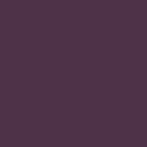 Eggplant / 000