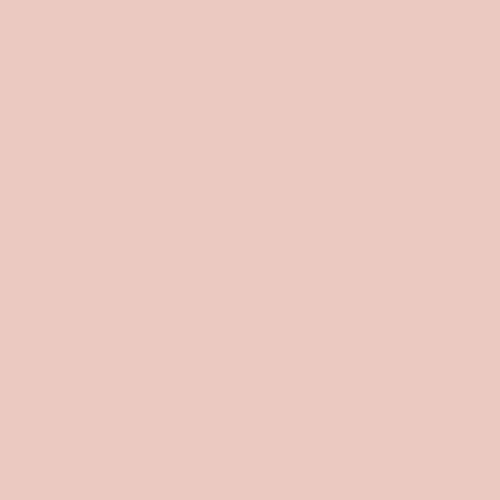 French pink / 000