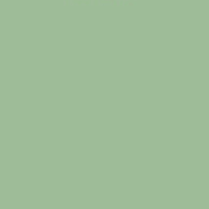 Pistachio / 000