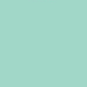 Mermaid / 000