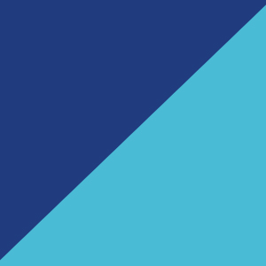 Royal/turquoise / 000