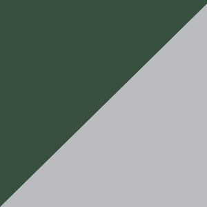 Forest-silver / 000
