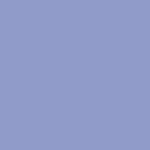Blue iris / 000