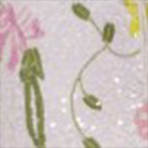 Ivory-multi / 000
