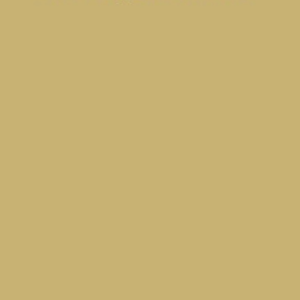 Antique gold / 000