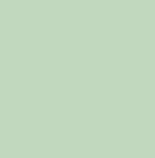 Cameo green / 000