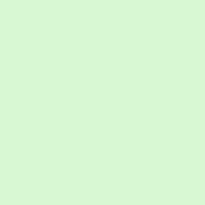 Mint / 16