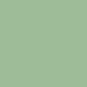 Pistachio / 000