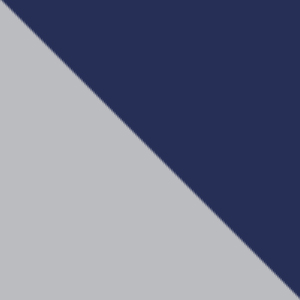 Navy-silver / 000