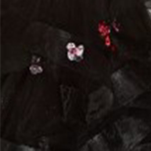 Black-multi / 000