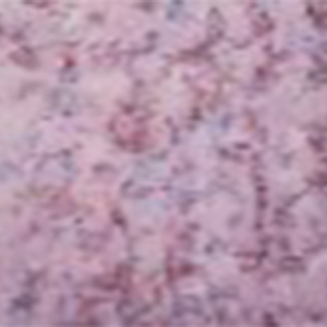 Pink-multi / 000