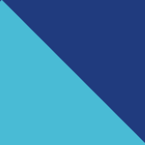 Royal/turquoise / 000