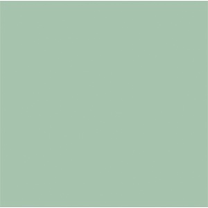 Cameo green / 000