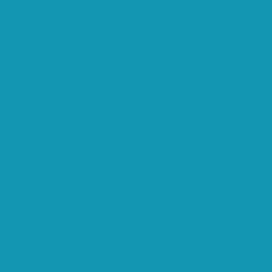 Teal / 000
