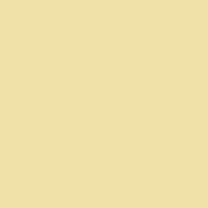 Light yellow / 000